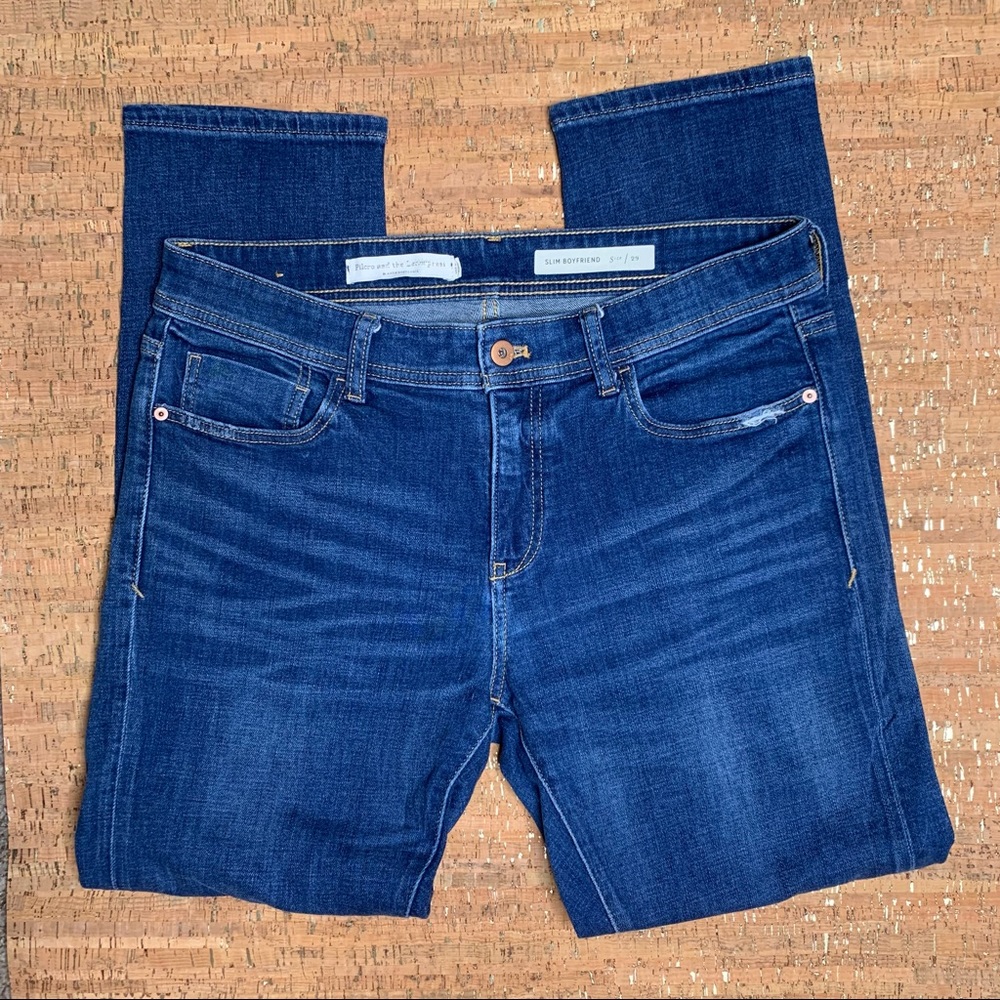 Anthropologie Pilcro and the Letterpress Slim Boyfriend Jeans Size 29